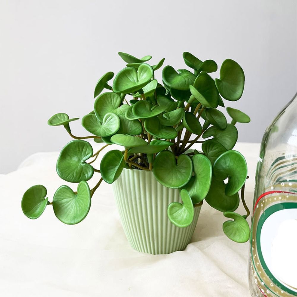 Soft Glue Artificial Plant EVA - Home Office Layout ulasan dan harga