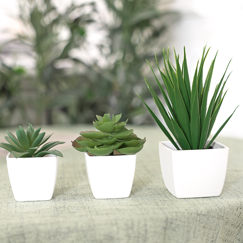 3PCS Artificial Evergreen Plan - Home Office Layout ulasan dan harga