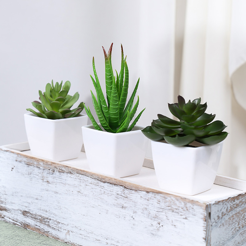 3PCS Artificial Evergreen Plan - Home Office Layout ulasan dan harga